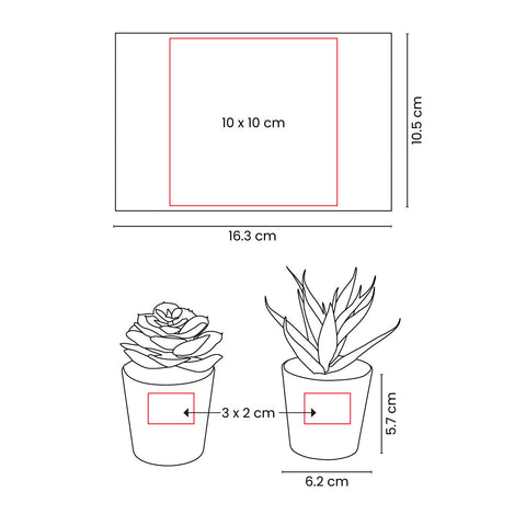 SET DE PLANTAS ALISO KTC 750