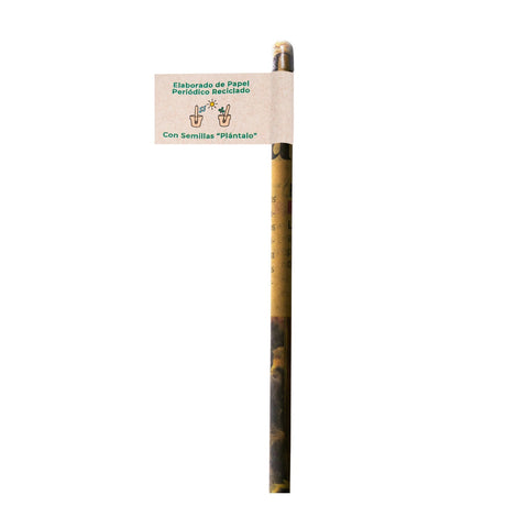 TLAMIA PE 002