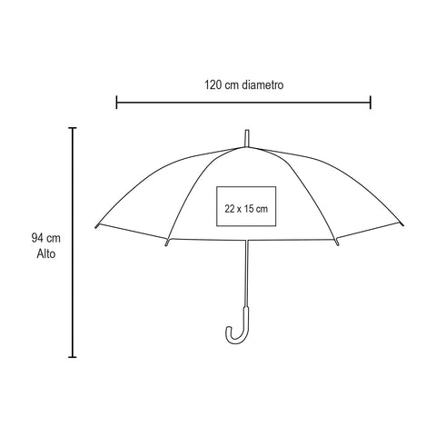 ZON PM 16