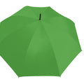 VERDE CLARO