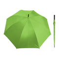 VERDE CLARO