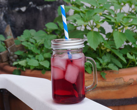 TARRO DE VIDRIO 450 ml FIZZ A2281