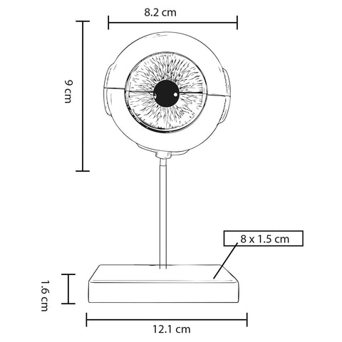 MODELO OFTALMO CP 156