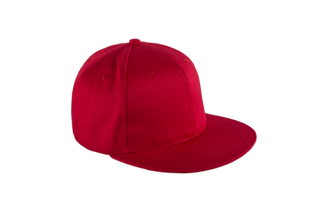 GORRA PLANA D000270