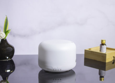 HUMIDIFICADOR DE AMBIENTE ROSE EC737