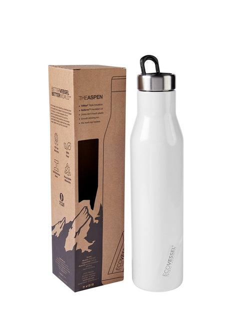 TERMO ASPEN EVS 002