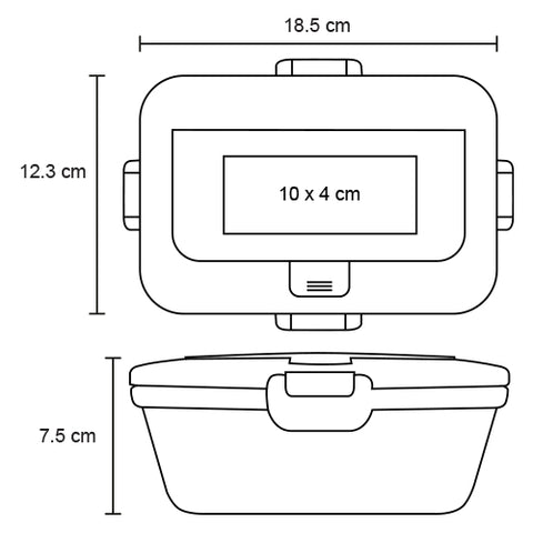 CONTENEDOR CHILI HO 119