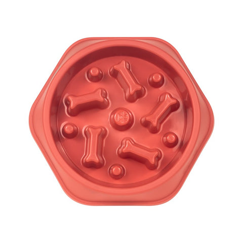 PLATO OSSIS PET 010