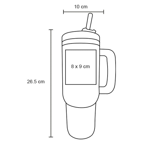 TERMO VIZ T 266