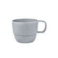 GRIS