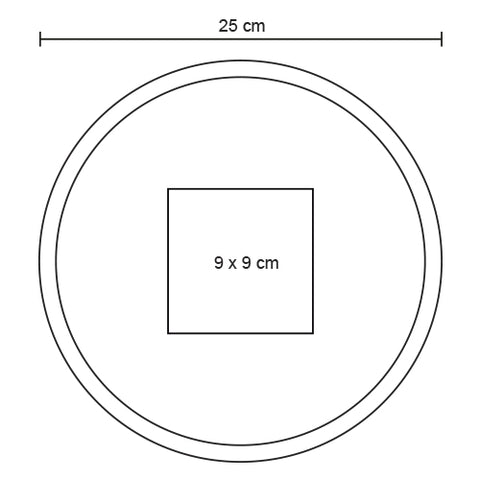 FRISBEE DISC TL 005