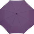 Violeta