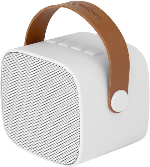 BOCINA BLUETOOTH ELVIS EC779