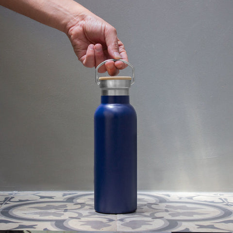 BOTELLA TÉRMICA SASHA T679